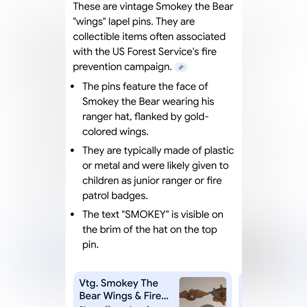 Smokey Bear Winged Pins - Picture 5 of 5